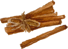 Watercolor Anise Cinnamon